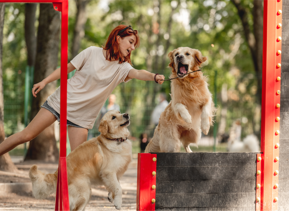 parques de mascotas